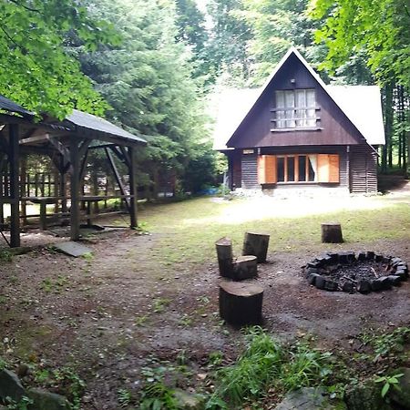 Slovak Cottage Near Bratislava In The Heart Of The Carpathians Modra Eksteriør billede