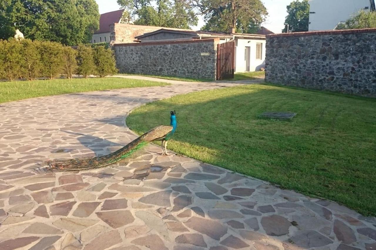Slovak Cottage Near Bratislava In The Heart Of The Carpathians Modra Eksteriør billede