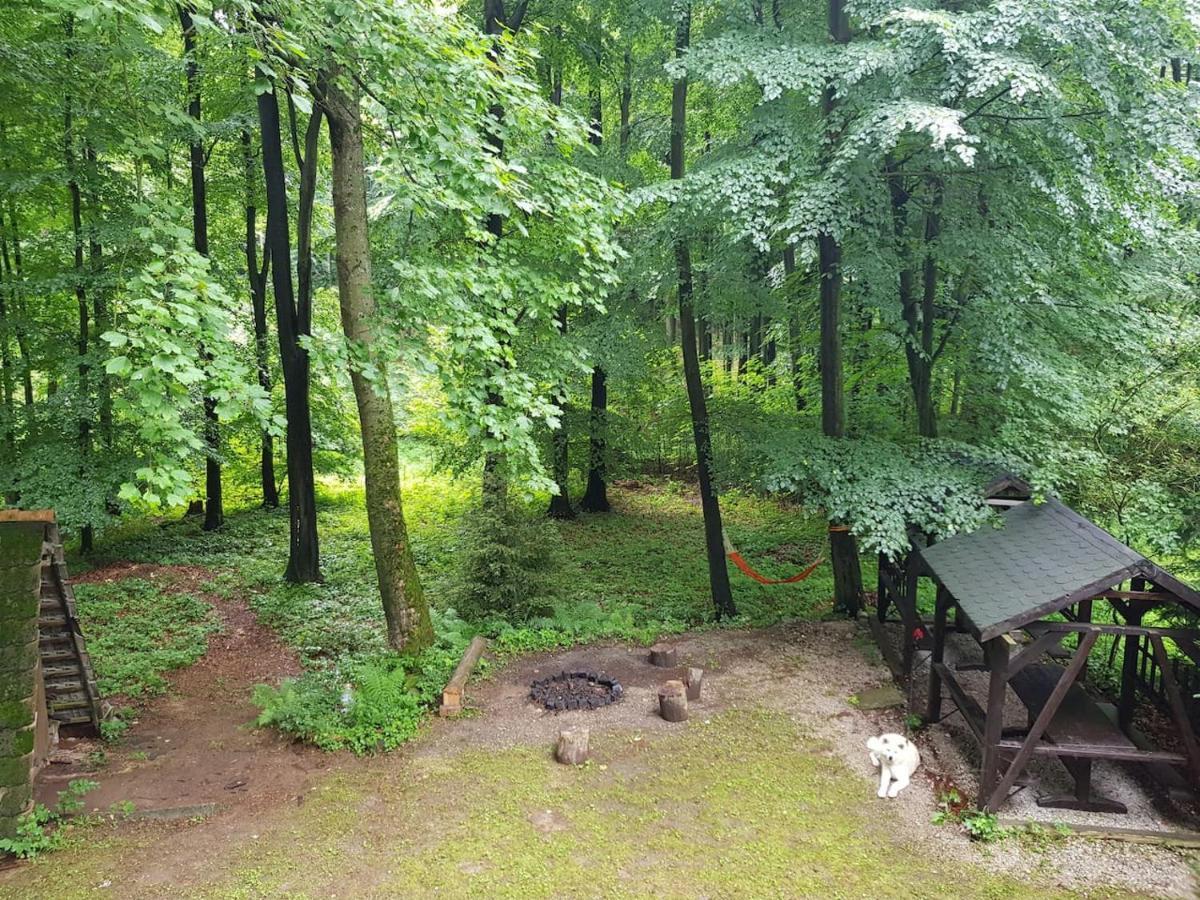 Slovak Cottage Near Bratislava In The Heart Of The Carpathians Modra Eksteriør billede