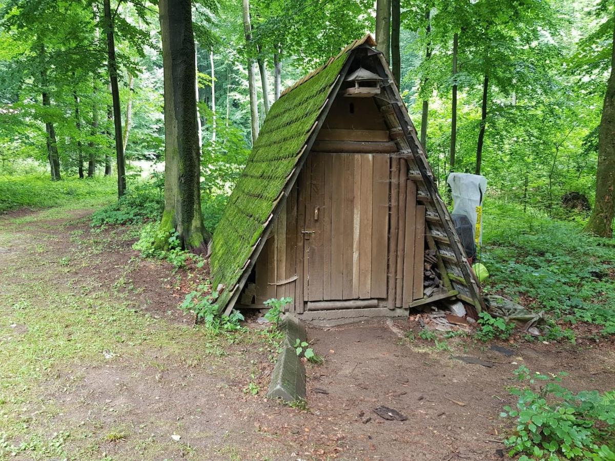 Slovak Cottage Near Bratislava In The Heart Of The Carpathians Modra Eksteriør billede