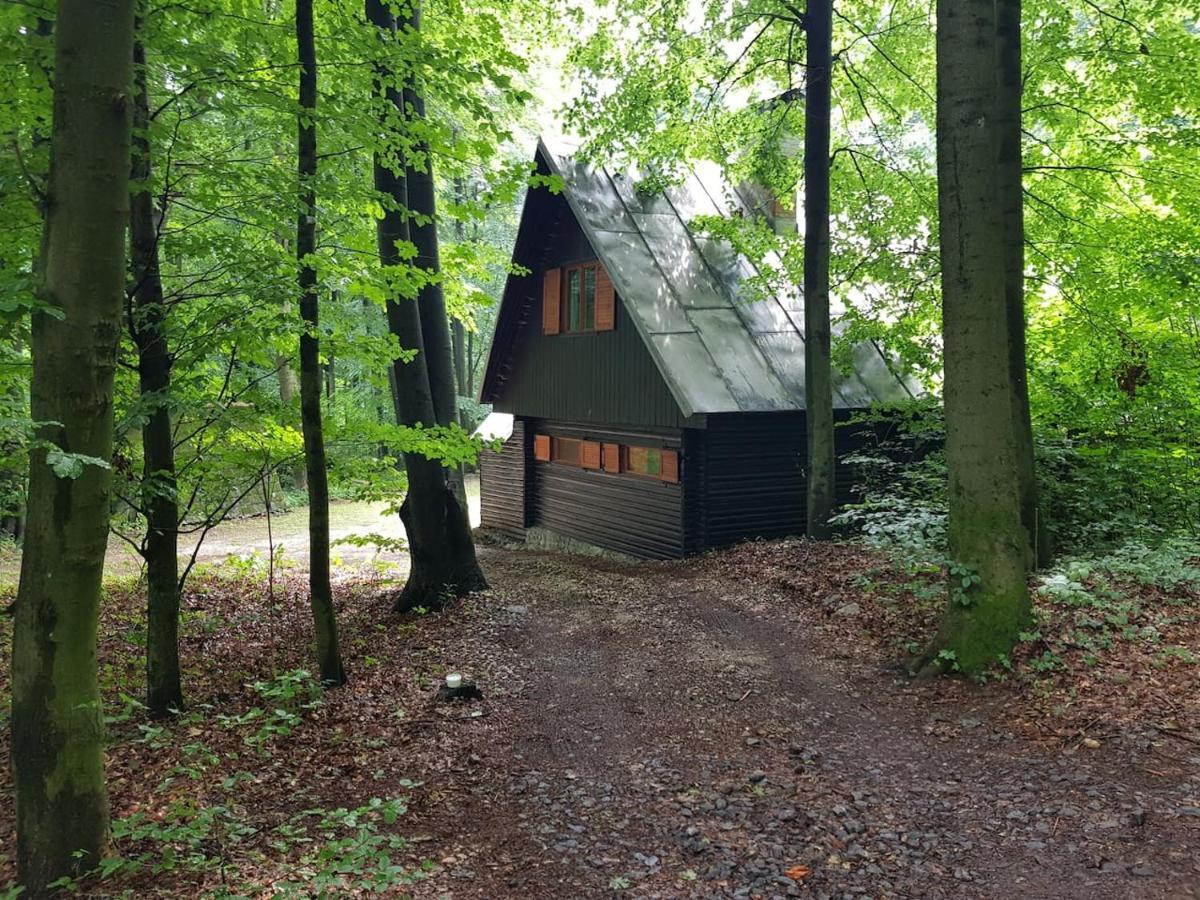 Slovak Cottage Near Bratislava In The Heart Of The Carpathians Modra Eksteriør billede