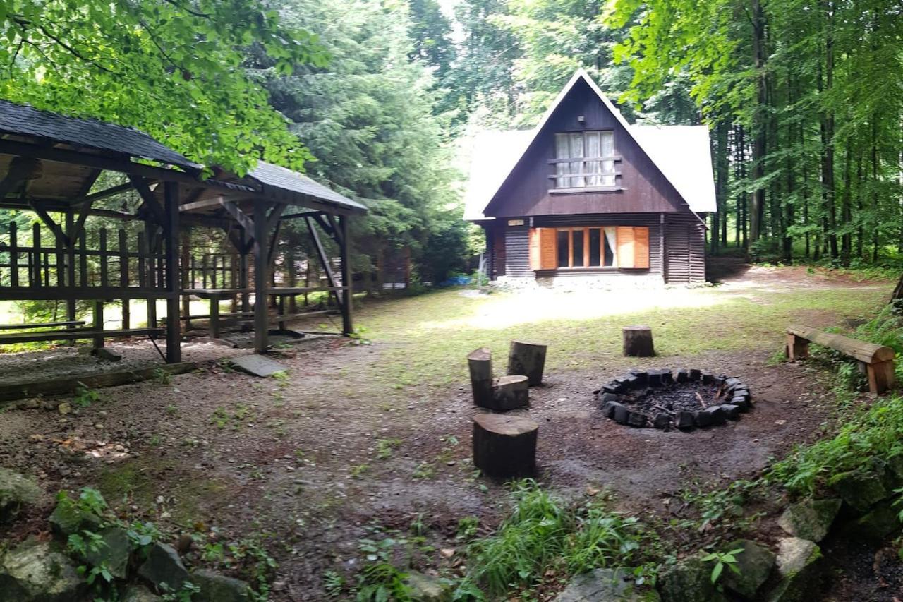 Slovak Cottage Near Bratislava In The Heart Of The Carpathians Modra Eksteriør billede